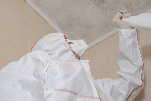 Best Commercial Mold Removal  in Clemson University, SC